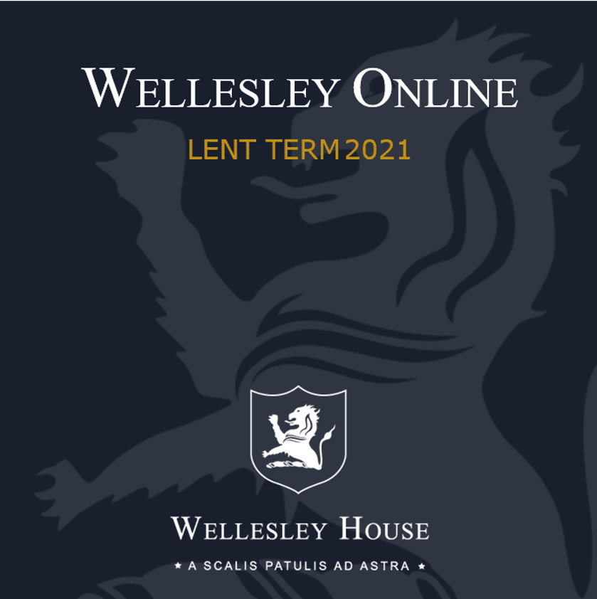 Wellesley Online Programme